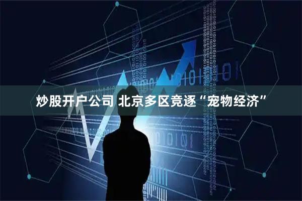 炒股开户公司 北京多区竞逐“宠物经济”